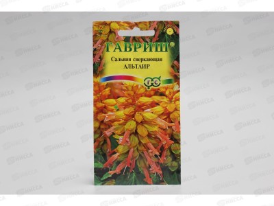 Сальвия Альтаир карликовая 4шт  *10 ГШ +