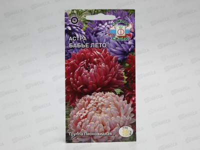Астра Бабье лето (пионовидная смесь) (Евро, 0,2  2207) *10 СеДек