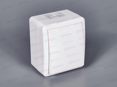 Выключатель  Эра открытой установки ,IP54,10АХ-250В с подсветкой, белый, 11-1402-01 *1
