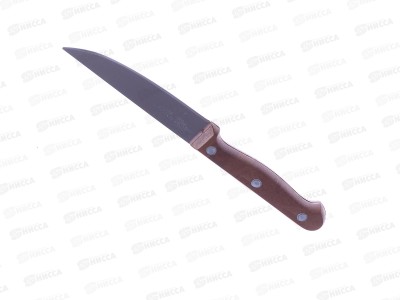 Нож кухонный пластиковая ручка, 10см (045151)  *40 Ж