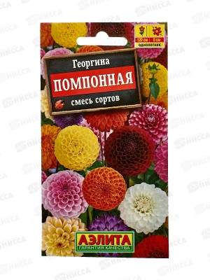 Георгина помпонная,смесь окрасок *10 АЭЛИТА +