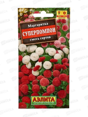 Маргаритка Суперпомпон, смесь окрасок *10 АЭЛИТА +