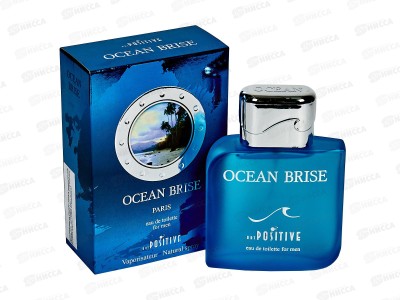 APM Ocean Brise, туалетная вода 100мл мужская М