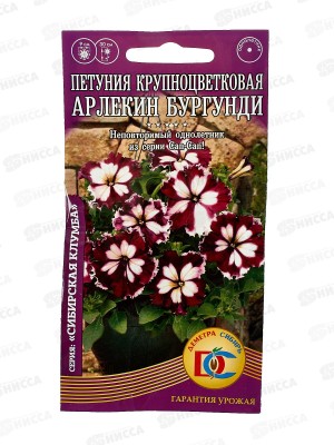 Петуния Арлекин Бургунди F1 (10 штук) *10 ДемСиб +