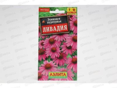 Эхинацея Ливадия пурпурная Аэлита *10 +