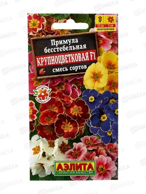 Примула Крупноцветковая, смесь окрасок *5 АЭЛИТА +