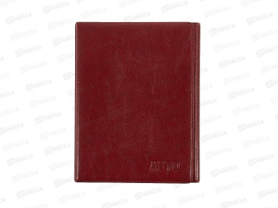 Обложка для автодокументов ДПС 2903.И-202 красный*12