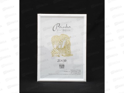 Фоторамка пластиковая 21*30 узкий багет, 500 (3870) *25