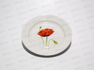 Тарелка мелкая 240мм Гладкий край Алый мак 089632 *20