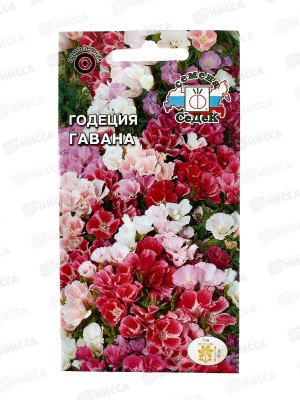 Годеция Гавана (крупноцветковая смесь) (Евро, 0,1) СеДек *10 +