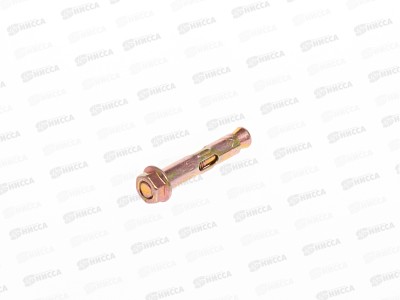 Анкерный болт с гайкой 10*50  80штук, СВФС