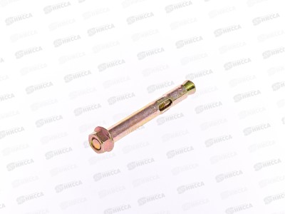 Анкерный болт с гайкой 10*77  50штук, СВФС