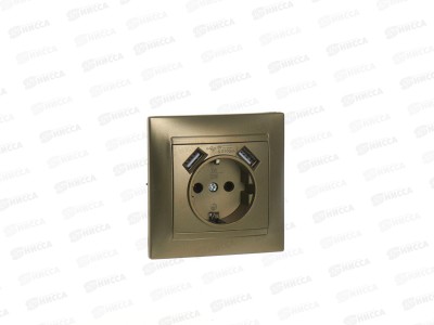 Розетка TDM cкрытая установка, 16А+2USB 2.1А, бронза, &quotЛама&quot, 0742 *10