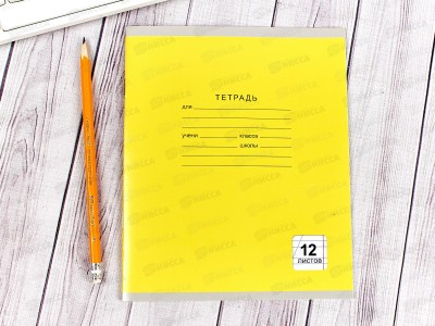 Тетрадь 12листов  в косую линию ЭКСМ Однотонная серия, 5 видов ТКЛ124995 *100