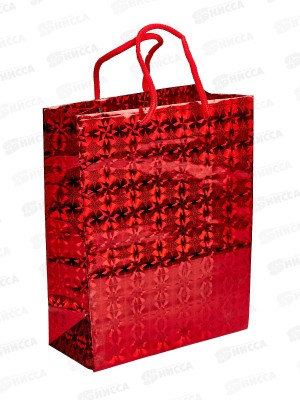 Пакет подарочный бумажный 18*23*8 см, голография, крупный рисунок, в ассортименте MC-1435 *20