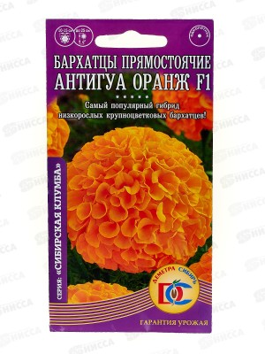 Бархатцы Антигуа оранж прямостоячие F1 (5шт) ДемСиб *10 +
