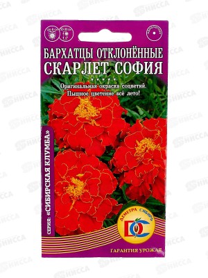 Бархатцы София отклоненные махровые (0,2гр) ДемСиб *10 +