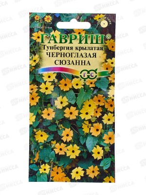 Тунбергия крылатая Черноглазая Сюзанна 0,3г *10 ГШ +