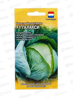 Капуста белокоч. Галакси F1 10шт Голландия *5 ГШ
