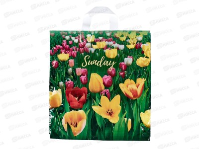 Пакет  сумка 40*42 Поле тюльпанов *25/500