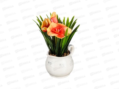 Композиция в горшке Нарциссы 15*25см 501-522 г