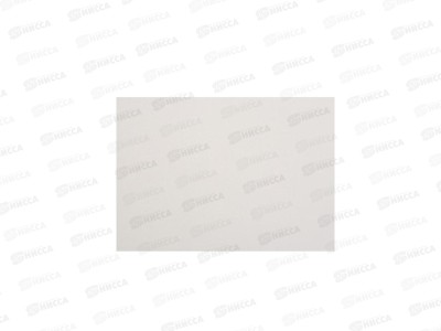 Ватман А4 Ленгознак, P200 100л *1