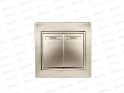 Выключатель INTRO Plano cкрытой установки двойной, 10А-250В, IP20, шампань, 1-104-04