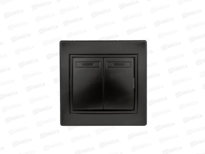 Выключатель INTRO Plano двойной, cкрытая установка, 10А-250В, антрацит, 1-104-05