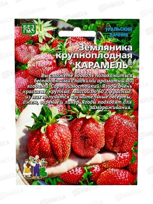Земляника Карамель-крупноплодная  Евро *5 УрД +