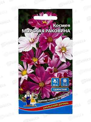 Космея Морская Раковина Евро *10 УрД