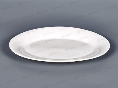 Блюдо овальное 25*17см MFK20269-25