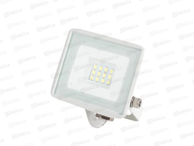 Прожектор светодиодный ЭРА LPR-023-W-65K-010 10Вт 6500К  800Лм IP65 белый  *40