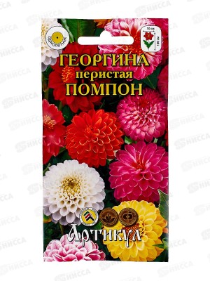 Георгина Помпон перистая 0,3г *10  АРТ +