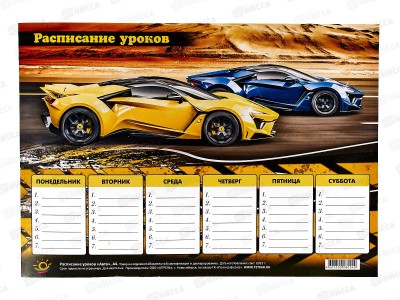 Расписание уроков ПГС 20*29 Авто *20