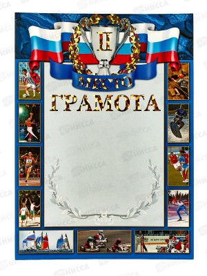 Грамота А4 ЛиС ФГ-205 Спортивная грамота 2 место,  голография *20