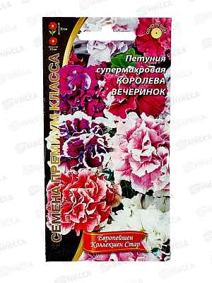 Петуния Королева Вечеринок Евро супермахровая *10 УрД +