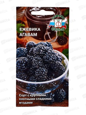 Ежевика Агавам (Евро, 0,05) *10 СеДек +