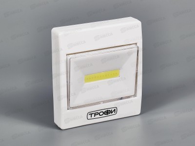 Фонарь ТРОФИ SB-102 с подсветкой, белый, пушлайт, 3*AAA  *24/144