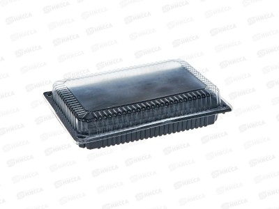 Контейнер РП-208 для суши *250
