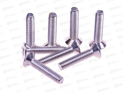 Винт (DIN965) А2 4*20 (8шт) Госкреп   *10