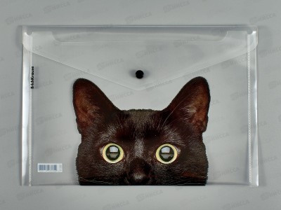 Папка-конверт пл. на кнопке EK Hiding 61155*12