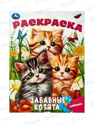 Раскраска &quotУМКА&quot 09245-2, Забавные котята. 214х290мм, 16стр.*50