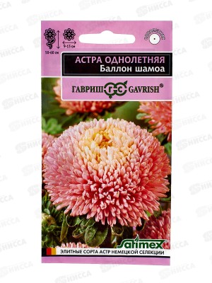 Астра Баллон шамоа 0,05г густомахровый сер Эксклюзив Н23  *10 ГШ +