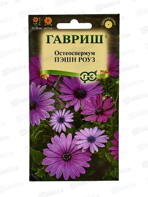 Остеоспермум Пэшн роуз 3шт Н23 *10 ГШ +