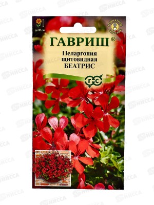 Пеларгония Беатрис ампельная 3шт Н22  *10 ГШ +