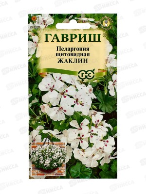 Пеларгония Жаклин ампельная 3шт Н22  *10 ГШ +