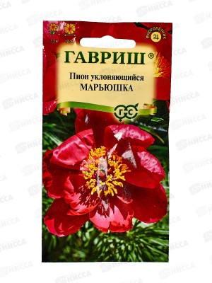 Пион уклоняющийся Марьюшка 3шт Н22 *10 ГШ +