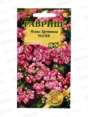 Флокс Магия Друммонда 8шт  *10 ГШ +