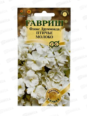 Флокс Птичье молоко Друммонда 8шт  *10 ГШ +