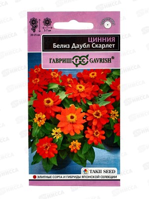 Цинния Белиз даубл скарлет 5шт *10 ГШ +